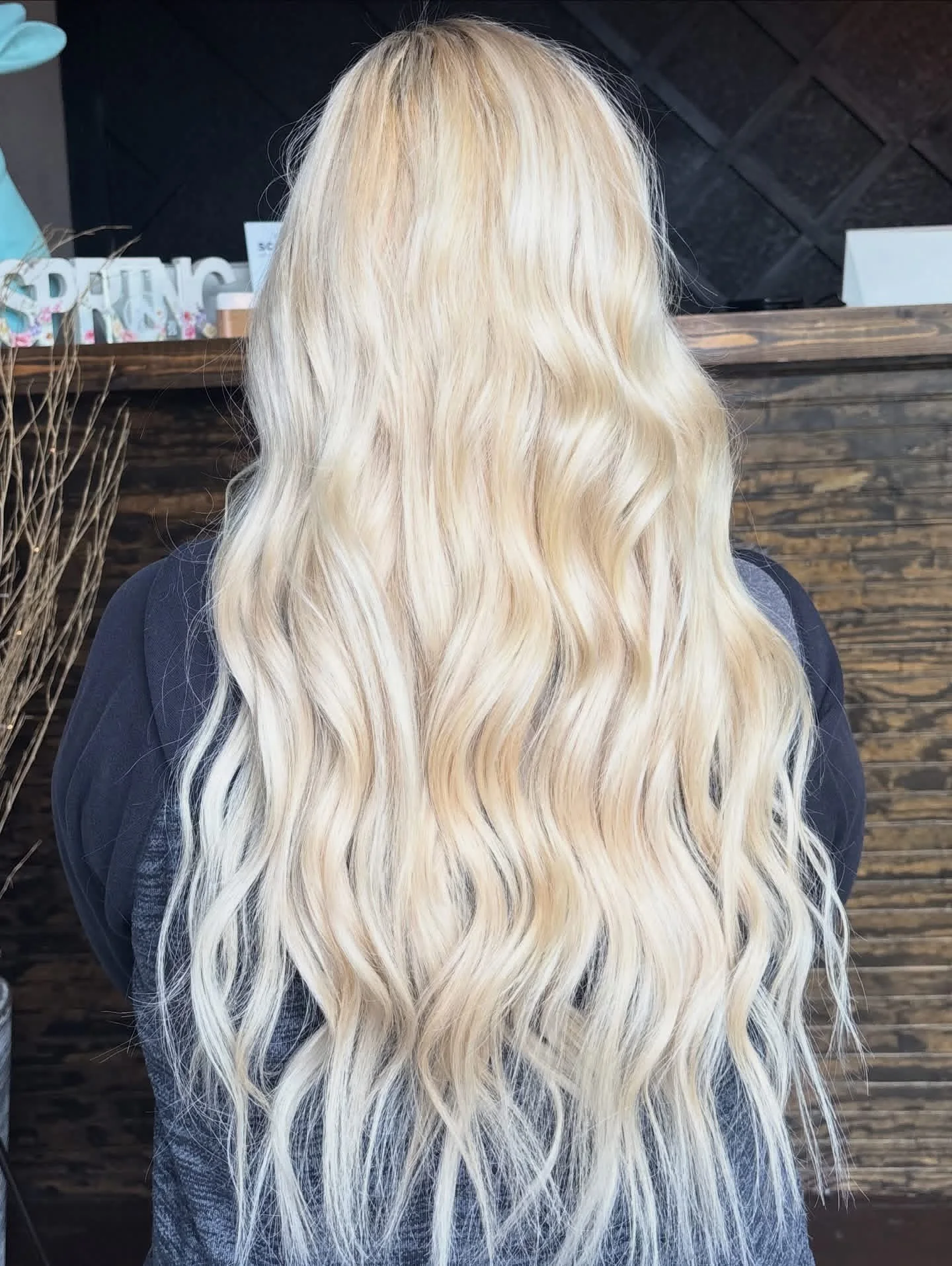 Platinum blonde transformation by Lauren Nicole